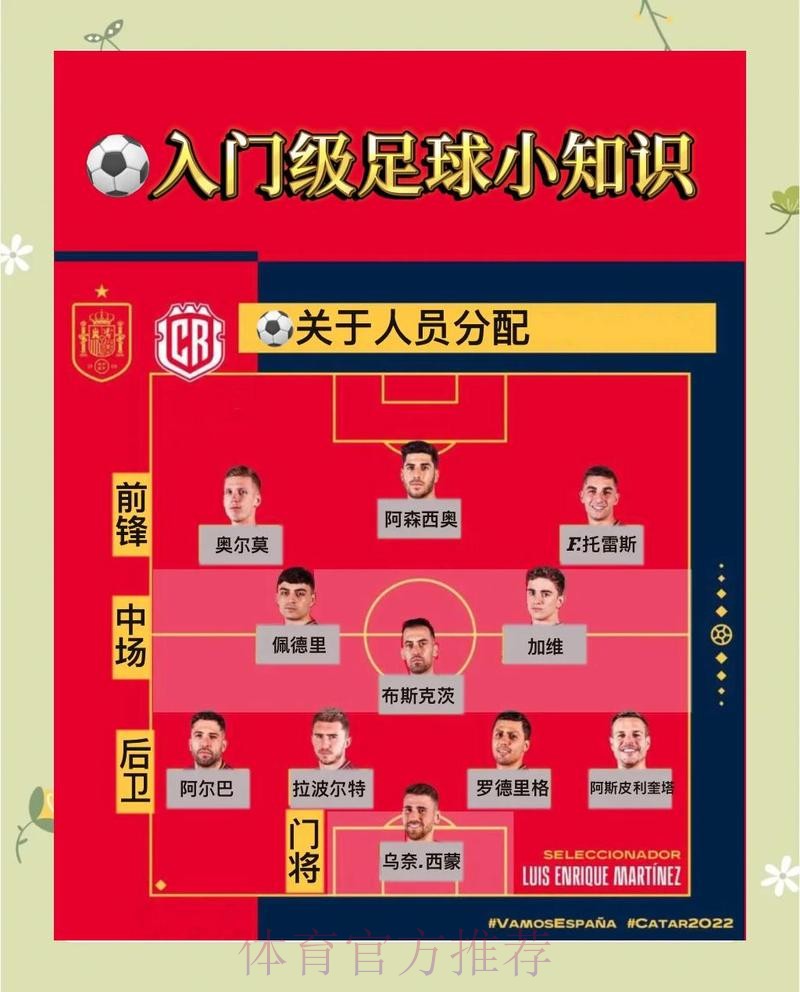 深入解析世界杯比赛走势分析的方法与技巧